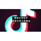 哥味文学句子哥味文学土味情话