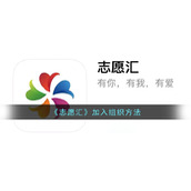 《志愿汇》加入组织方法