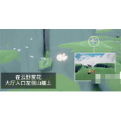 光遇花憩节赏花位置在哪里