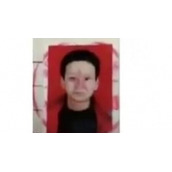 《抖音》海超人证件照是什么梗