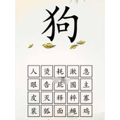 全民汉字王狗字成语通关攻略一览