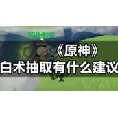 《原神》白术抽取有什么建议