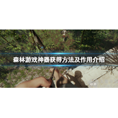 森林游戏神器怎么获取以及神器的作用是什么?