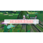 灵蕈棋阵蕈兽在哪