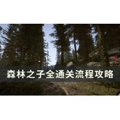 《森林之子》怎么通关？全通关流程攻略