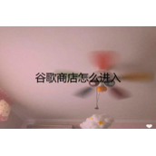 谷歌商店怎么进入？Google Play官网登录入口