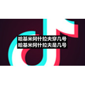 哈基米阿什拉夫穿几号哈基米阿什拉夫是几号