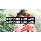哈基米玛喜达日语什么意思哈基米玛喜达日语含义介绍