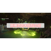 原神灵古木挑战介绍