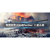 坦克世界闪击战Panther