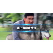 嘎子偷狗表情包