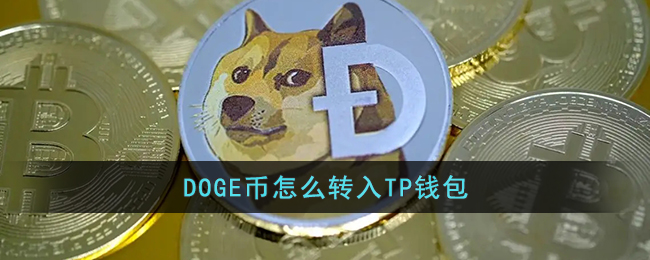 doge币转入tp钱包教程