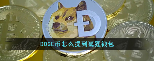 DOGE币怎么提到狐狸钱包