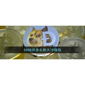 doge币转入tp钱包教程