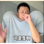 垫肩唱雪梗意思一览