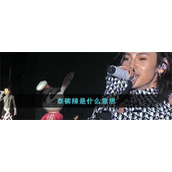 泰裤辣是什么意思