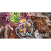 《莱莎的炼金工房3》热硝石获取方法一览
