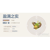 原神盈满之实适合角色详情