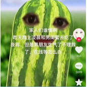 西瓜条是什么梗