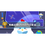 蚂蚁庄园家里的小猫小狗 猫狗看镜子能认出自己吗