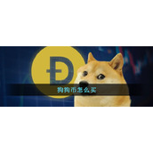 狗狗币新手买入教程