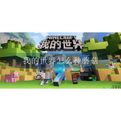 我的世界怎么种蘑菇