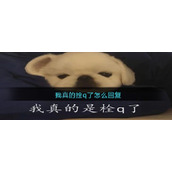 我真的拴q了怎么回复