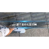 gai溜子是什么意思啊 gai溜子是哪里的方言