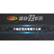 不确定我再看看什么梗 不确定我再看看梗介绍