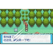 口袋妖怪最后的火红4.03金手指代码大全详情