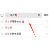 抖音凡尔赛落跑公主怎么制作的？特效在哪？