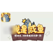 我是咸鱼强搭配