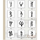 文字的世界十二生肖甲骨文攻略详解