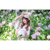 花蝴蝶视频在线观看：汇聚无限精彩影片随心看
