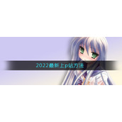 2022最新上p站方法