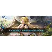 《王者荣耀》王昭君辅助流打法介绍