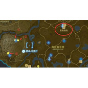 王国之泪生命松露在哪