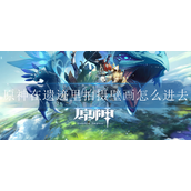 原神鲸井小弟位置在哪里
