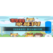 《救救单身狗》第30关通关攻略