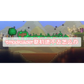 tmodloader联机进不去怎么办