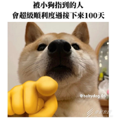 快说谢谢小狗梗意思详情