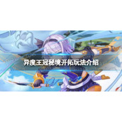 异度王冠秘境开拓密码