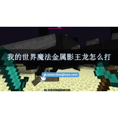 我的世界魔法金属影王龙怎么打影王龙打法介绍