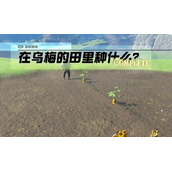 迷你挑战哈特尔地区在乌梅的田里种什么攻略