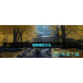 《魂之追梦》宠物捕捉玩法