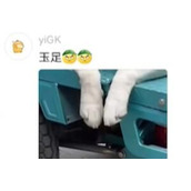 玉足梗意思一览