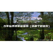 少年仙界传职业推荐