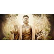 如来到底来没来梗的含义及出处