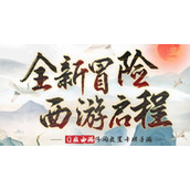 西游冒险礼包码怎么输入