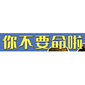 你不要命啦是什么梗详情